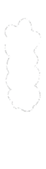 仲間と宴会