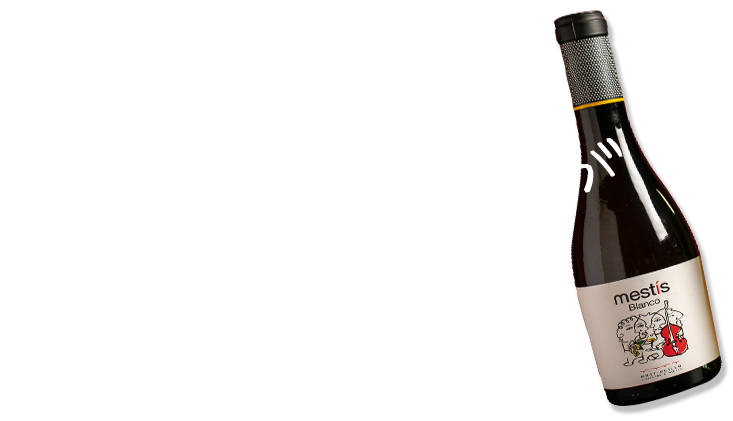 ソムリエのシェフが  厳選したお酒